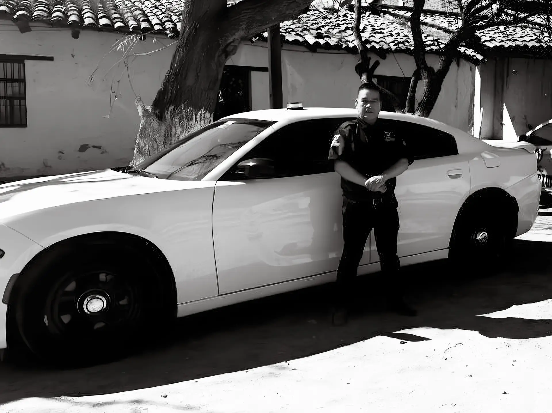 Traslados ejecutivos toluca tsc