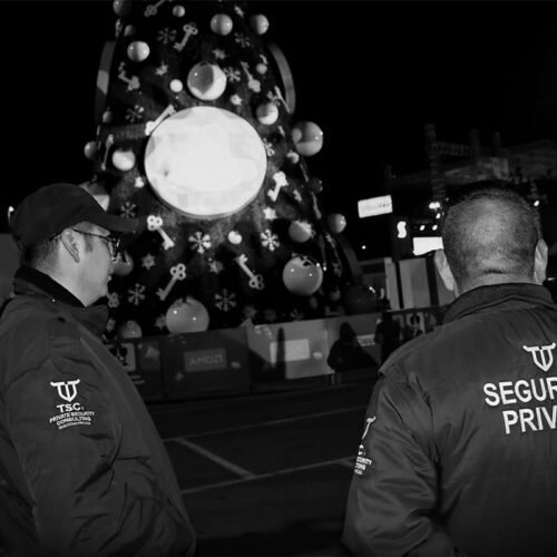 Seguridad para eventos Toluca TSC